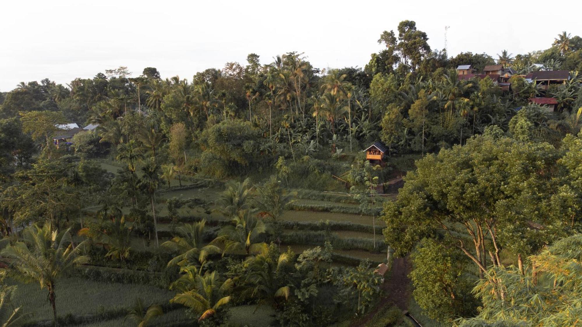 The Alam Tetebatu Bungalow & Restaurant Exterior foto
